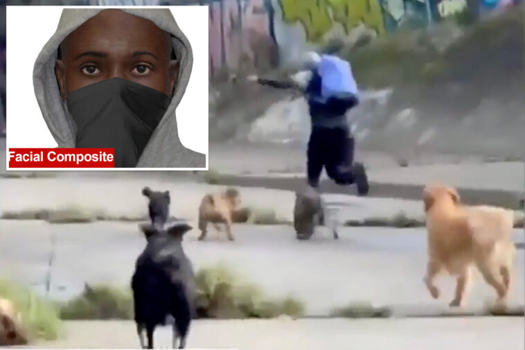 heroic-pups-save-dog-walker-from-attempted-rape-after-masked-brute-tried-to-chase-her-into-tunnel