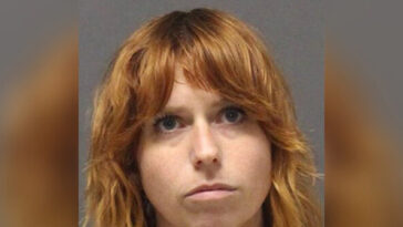 nolte:-canadian-woman-in-ice-custody-after-being-accused-of-assaulting-juvenile-trump-supporter