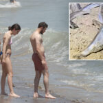 what-times-to-see-the-california-grunion-run-in-2026-–-two-hour-viewing-windows-start-this-week