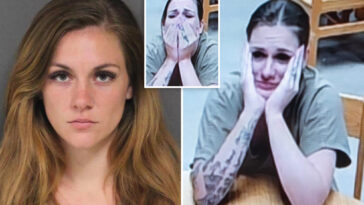 nj-babysitter-blames-victim-in-tearful-first-court-appearance-for-horrifying-child-sex-charges
