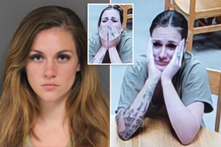 nj-babysitter-blames-victim-in-tearful-first-court-appearance-for-horrifying-child-sex-charges
