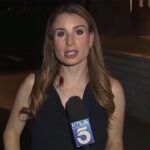 los-angeles-journalist-goes-viral-keeping-calm-while-a-cockroach-crawls-over-her-during-on-air-report
