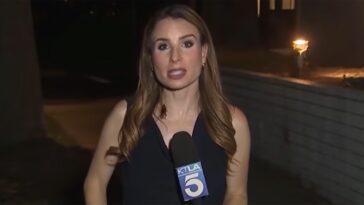 los-angeles-journalist-goes-viral-keeping-calm-while-a-cockroach-crawls-over-her-during-on-air-report