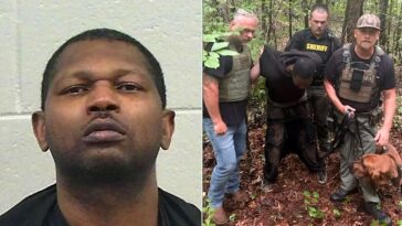 bloodhound-k-9-unit-helps-bring-georgia-manhunt-to-end-with-arrest-of-suspect-accused-of-shooting-woman