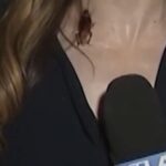 going-viral:-massive-flying-cockroach-crawls-on-ktla-reporter-during-live-shot-in-filthy-los-angeles-–-spencer-pratt-responds-with-fire!-(video)