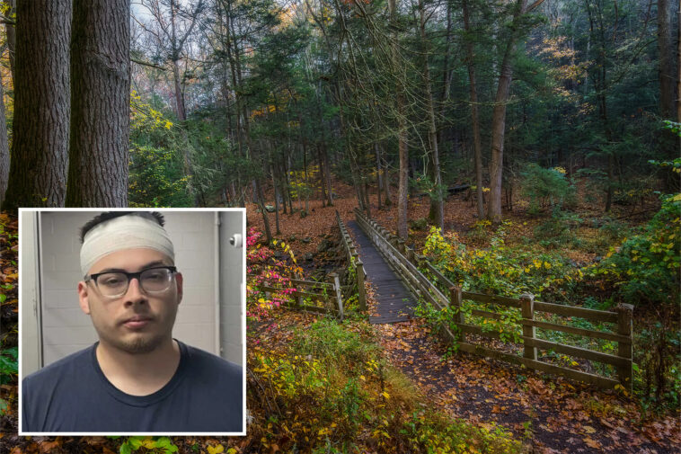 teen-girls-beat-up-knife-wielding,-porn-obsessed-creep-who-tried-to-drag-them-into-connecticut-woods,-rape-them