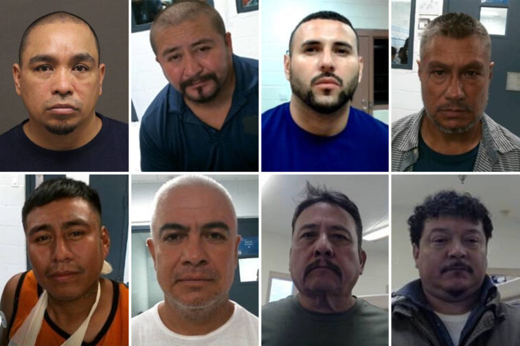 ice-arrests-record-238-illegal-immigrants-in-one-day-during-south-texas-enforcement-operation