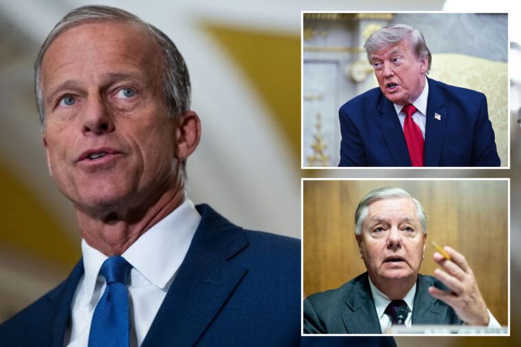 john-thune-tells-the-post-about-potential-breakthrough-on-save-america-act-—-led-by-lindsey-graham