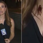‘i-knew-it-was-on-me’-–-tv-reporter-somehow-holds-it-together-as-giant-bug-crawls-across-her-chest-while-she’s-on-camera
