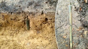 mystery-deepens-after-2,700-year-old-bronze-sword-emerges-standing-upright