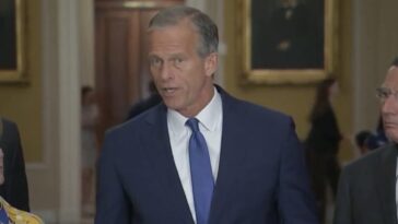 watch:-rino-john-thune-says-save-america-act-won’t-pass,-claims-he’s-“willing-to-do-just-about-anything”-while-refusing-to-nuke-filibuster-–-blames-democrats-instead