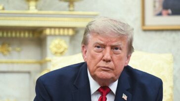 inside-trump’s-patriotic-plan-to-replace-illegal-immigrant-truck-drivers