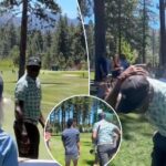 jerry-rice-chases-down-heckler-at-celebrity-golf-tournament-in-wild-scene:-‘which-one?’