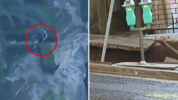terrifying-moment-woman-swept-away-by-powerful-water-torrent-—-as-two-men-plunge-into-sinkhole-in-west-hollywood