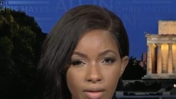 crockett:-ice-officers,-‘not-the-people-in-the-streets’-are-making-us-unsafe