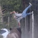 national-park-service-reminds-americans-not-to-approach-bison,-but-if-you-do,-make-sure-someone-captures-a-hilarious-video-of-it