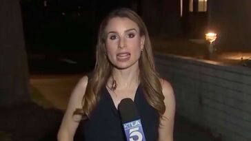 cockroach-maintains-composure-despite-making-contact-with-journalist