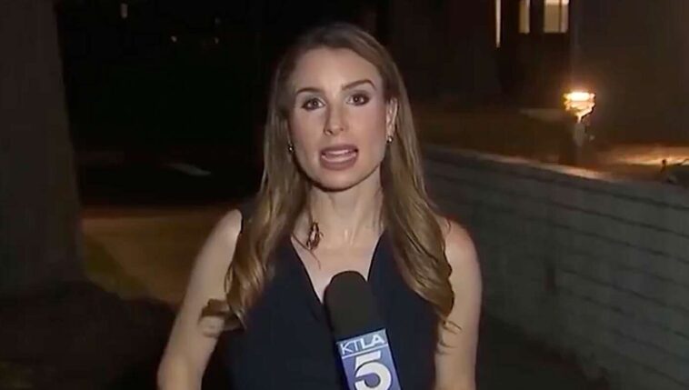 cockroach-maintains-composure-despite-making-contact-with-journalist