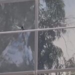 fbi-investigating-gun-shots-fired-at-ice-headquarters-in-phoenix