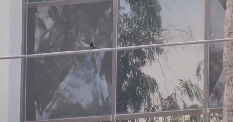 fbi-investigating-gun-shots-fired-at-ice-headquarters-in-phoenix