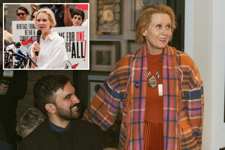 lefty-actress-cynthia-nixon-appointed-to-panel-that-screens,-recommends-ny-judges