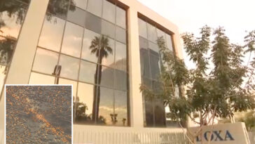 fbi-launches-probe-after-rounds-of-bullets-pepper-arizona-ice-building