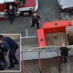 cruel-kitten-torture-suspect-busted-on-rooftop-after-cops’-wild-san-francisco-chase