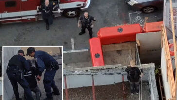 cruel-kitten-torture-suspect-busted-on-rooftop-after-cops’-wild-san-francisco-chase