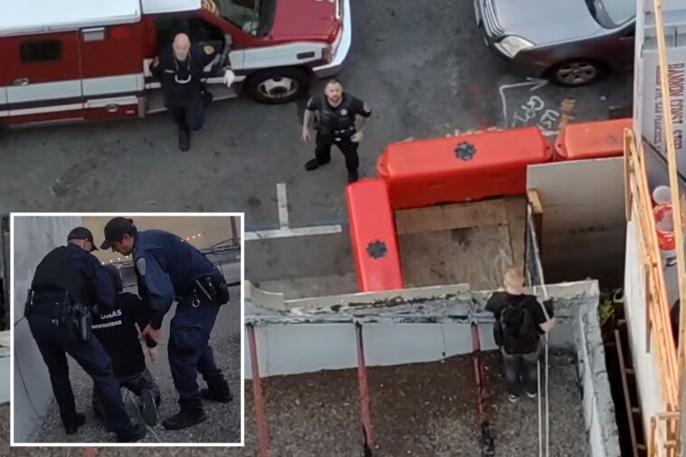 cruel-kitten-torture-suspect-busted-on-rooftop-after-cops’-wild-san-francisco-chase