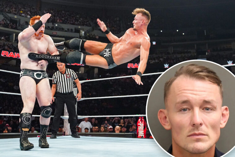 wwe-star-ludwig-kaiser-blames-profane-‘ice’-remark-for-apartment-beatdown