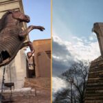 christopher-nolan-criticized-for-not-depicting-trojan-horse-as-historically-accurate-large-wooden-rabbit