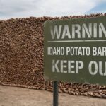 idaho-builds-border-wall-out-of-potatoes-to-keep-out-californians