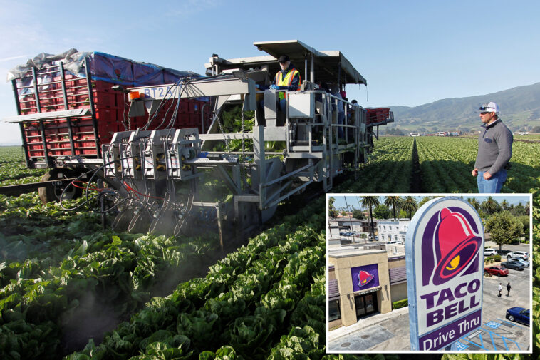 tainted-taco-bell-ingredient-id’d-as-potential-source-of-‘explosive-diarrhea’-parasite,-cyclosporiasis:-report