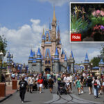 disney-world-guest,-54,-died-on-iconic-ride-after-suffering-heart-emergency,-new-report-reveals