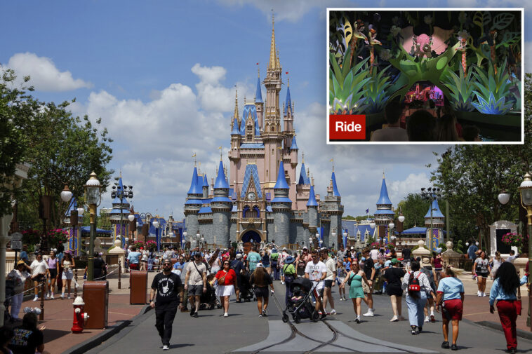 disney-world-guest,-54,-died-on-iconic-ride-after-suffering-heart-emergency,-new-report-reveals