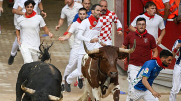 watch:-fan-viciously-beaten-after-breaking-one-of-spain’s-most-serious-bullfighting-traditions