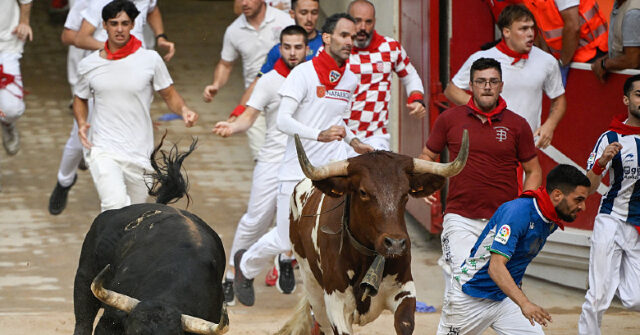watch:-fan-viciously-beaten-after-breaking-one-of-spain’s-most-serious-bullfighting-traditions