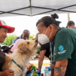 exclusive:-animal-rights-volunteers-treat-hundreds-of-pet-earthquake-victims-in-venezuela