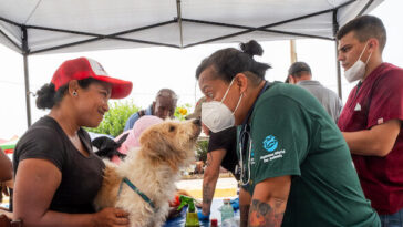 exclusive:-animal-rights-volunteers-treat-hundreds-of-pet-earthquake-victims-in-venezuela