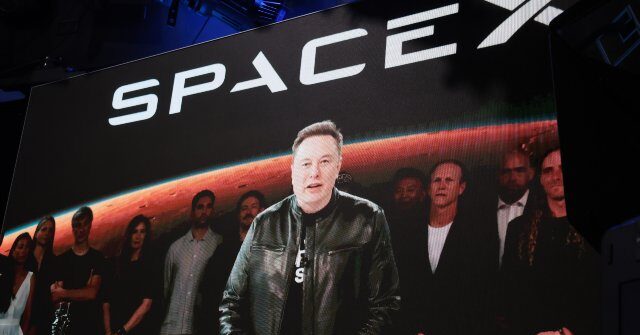 spacex-share-price-falls-below-ipo-level-a-month-after-elon-musk’s-market-debut