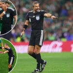 world-cup-ref-in-charge-of-final-has-previous-‘sex-party’-arrest