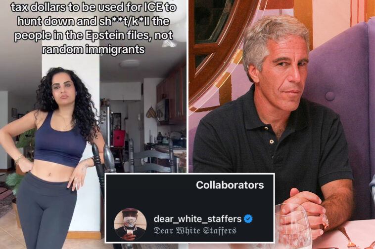 dem-run-‘dear-white-staffers’-x-account-joins-calls-for-ice-to-kill-anyone-in-epstein-files