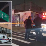 bmw-driver-rams-into-boy,-6,-crossing-nyc-street-with-his-parent-in-hit-and-run:-cops
