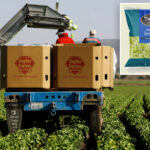 taylor-farms-to-recall-ingredients-linked-to-‘explosive-diarrhea’-parasite-cyclosporiasis-outbreak