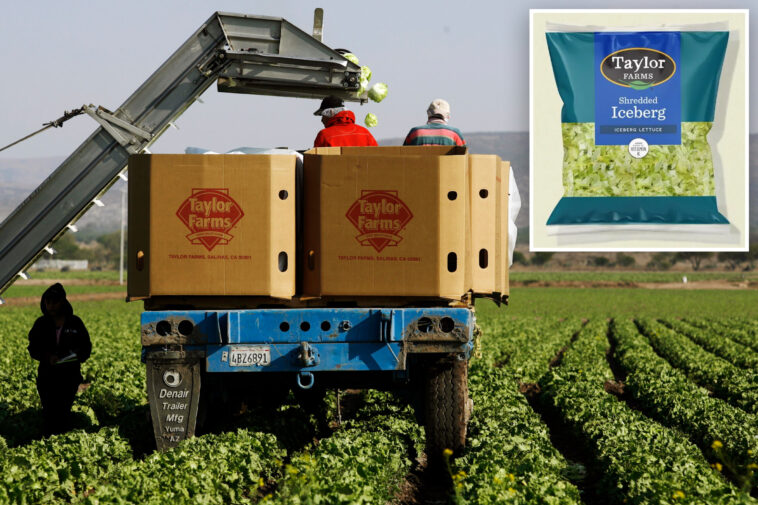 taylor-farms-to-recall-ingredients-linked-to-‘explosive-diarrhea’-parasite-cyclosporiasis-outbreak