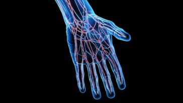 quadriplegic-patient-defies-expectations-after-scientists-turn-off-neural-implant