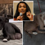why-angry-animal-advocates-have-become-some-of-nithya-raman’s-loudest-critics