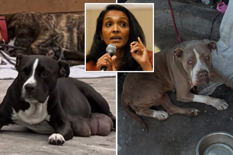 why-angry-animal-advocates-have-become-some-of-nithya-raman’s-loudest-critics