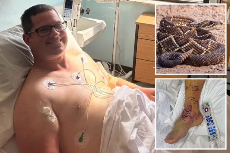 snakebite-victim-who-sucked-up-hospital’s-entire-supply-of-anti-venom-hit-with-staggering-medical-bill