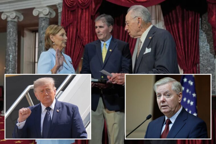 trump-urges-lindsey-graham’s-sister-to-run-for-full-senate-term:-‘nobody-better’